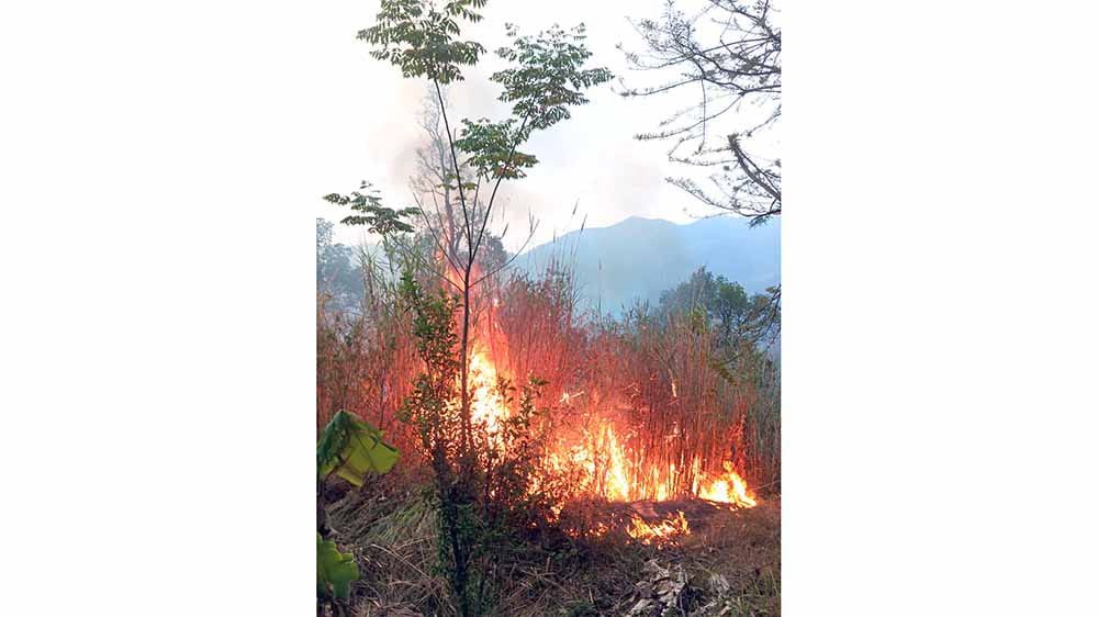 Massive forest fire near Tseminyu