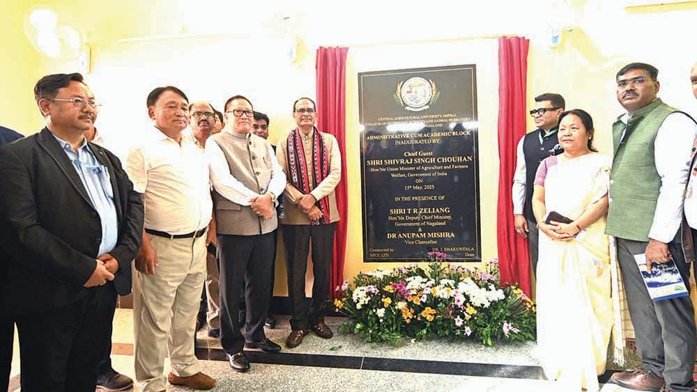Boosting Nagaland Agriculture: A Roadmap to Global Markets