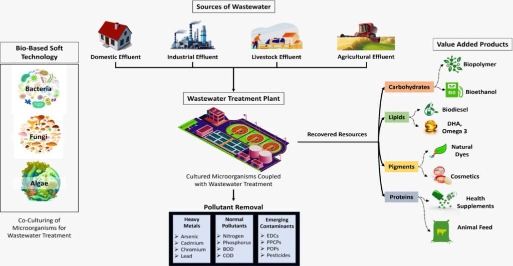 Nagaland University Pioneers Eco-Friendly Wastewater Treatment for a Sustainable Future in Guwahati and Beyond