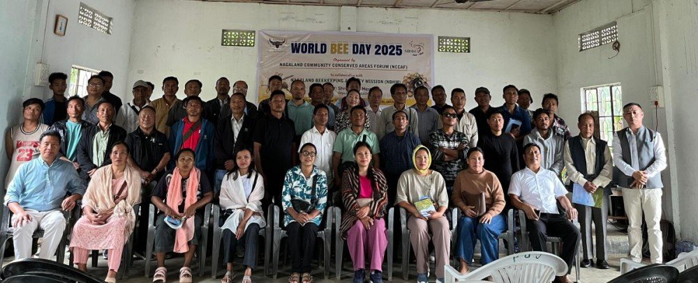 Architects of Life and Economic Drivers in Nagaland