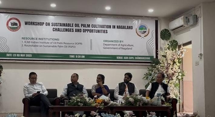 Nagaland Explores Sustainable Oil Palm Cultivation