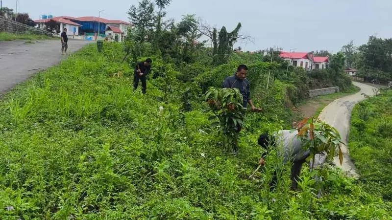 Nagaland celebrate environment day with sustainable initiative