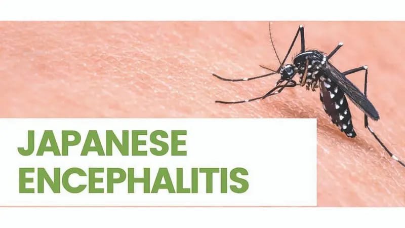 Seven Japanese Encephalitis cases reported with Two deaths in Nagaland